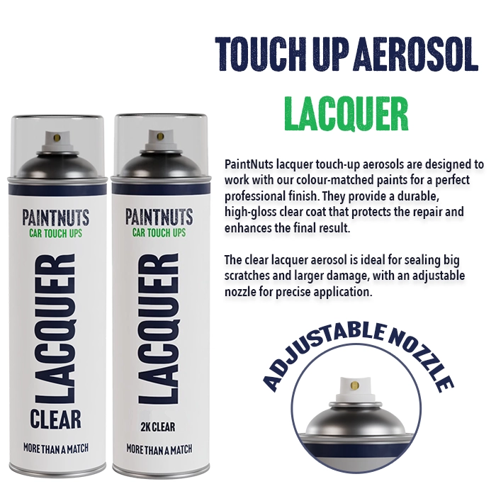 PaintNuts Colour Matched Aerosol Set with Plastic Filler, Sanding Pack, Primer, Paint & Lacquer